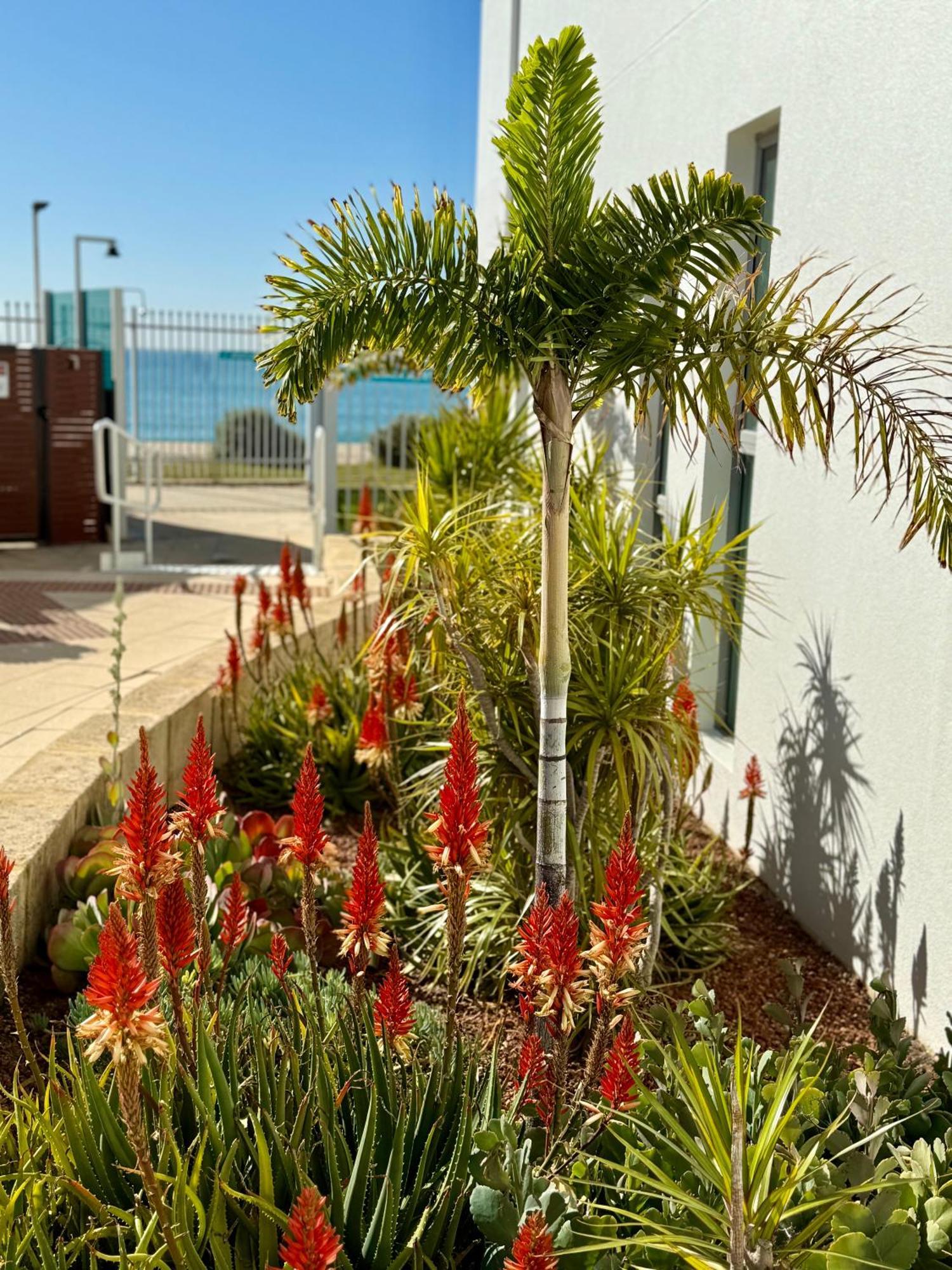 Apartmán Tempel By The Sea Mandurah Exteriér fotografie